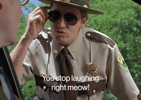 Super Troopers Meow GIF by Searchlight Pictures