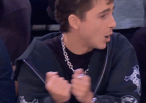 Timothee Chalamet Shimmy