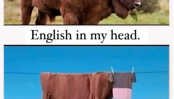 My English 👀🍂