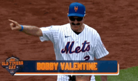 New York Mets Baseball