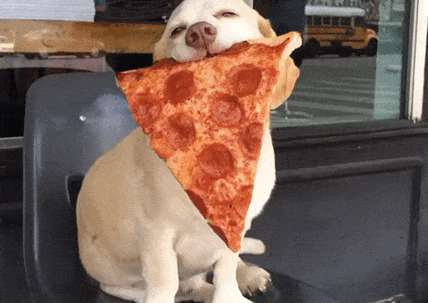 Dog Pizza