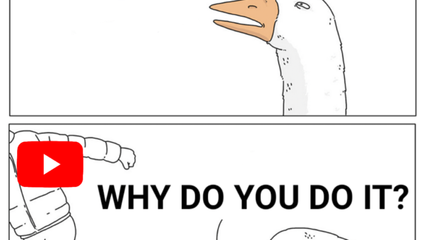 Why? Why??