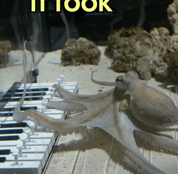 Piano Genius GIF by the innernette