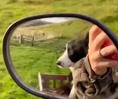 I am the wind, human :)