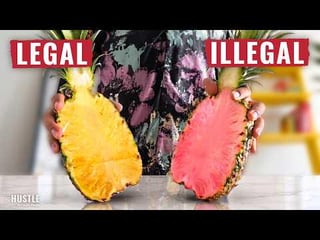 Ridiculous! Del Monte has strict pineapple patents, preventing local people from eating them