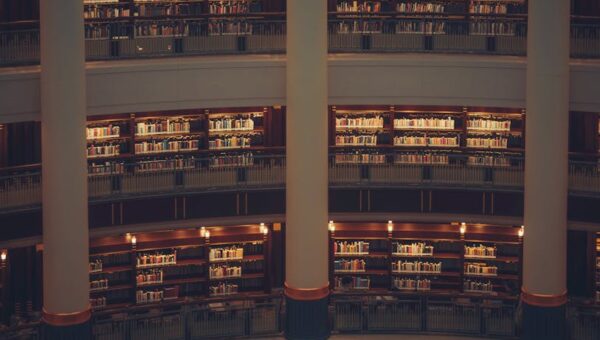 📖 The Internet’s Curiosity: Most-Read Wikipedia Articles – June 1, 2026