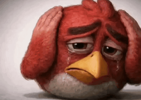 Angry Bird Instagram
