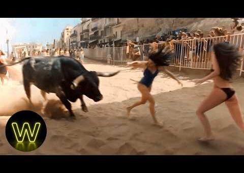 120 Incredible Safari Moments Caught On Camera Went Horribly Wrong !
