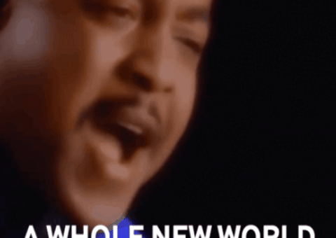 A Whole New World Aladdin GIF by the innernette