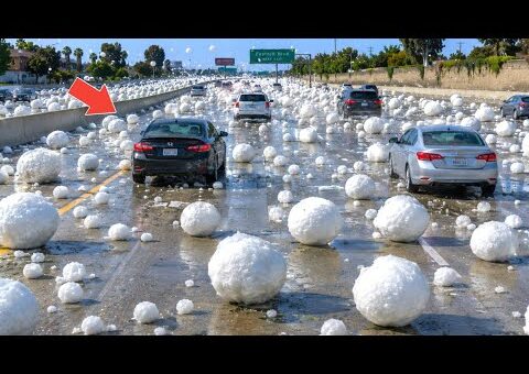 Most unbelievable nature moments caught on camera