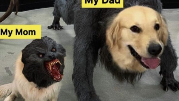 Can’t be more accurate