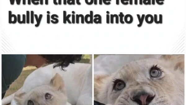 I have been there