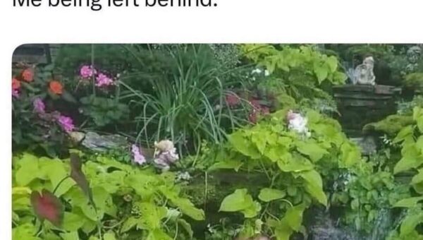 I’m very happy in my creek