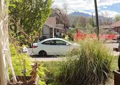 Porch Pirates
