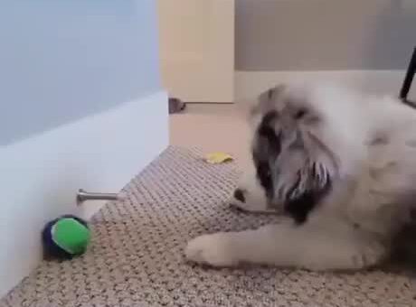 Well time for some adorableness