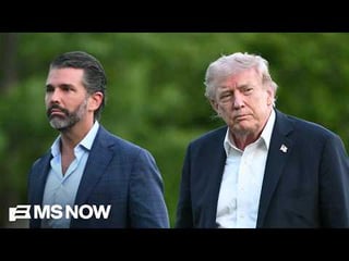 ‘Mar-a-Lago Mafia, The Epstein Class’: Walkinshaw on those protecting Trump IRS audit immunity