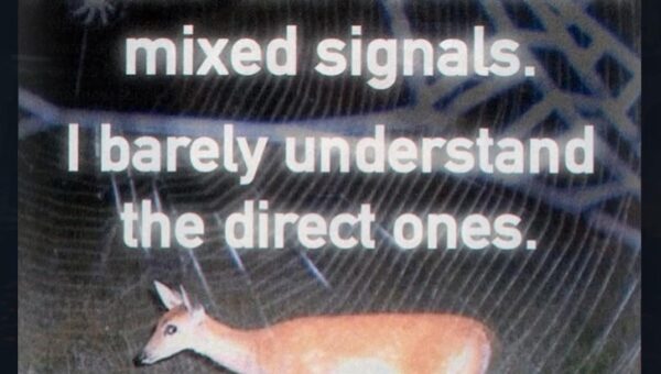 i wont even understand left and right ones