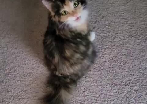 Freya got bigger, but her squeaks stayed the same