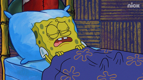 Season 12 GIF by SpongeBob SquarePants