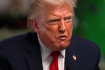 The face of a cornered, moronic criminal