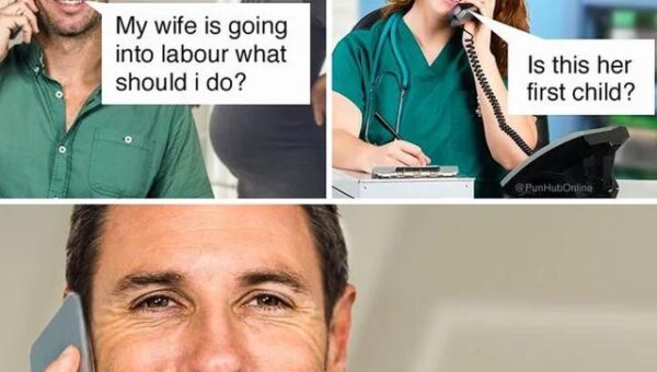 …………………