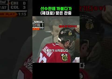 조롱한 관중 참교육