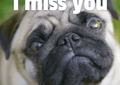Sad Miss You GIF by Sealed With A