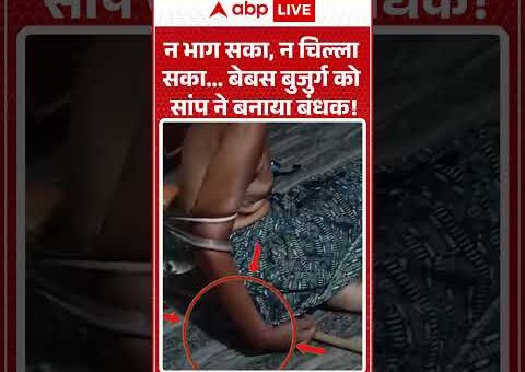 Viral Video : न भाग सका, न चिल्ला सका… बेबस बुजुर्ग को सांप ने बनाया…