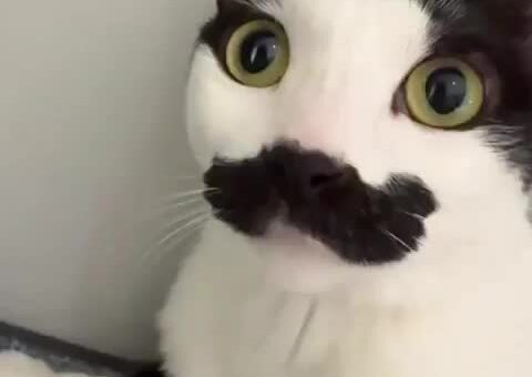 Mother, I must-ache you a question