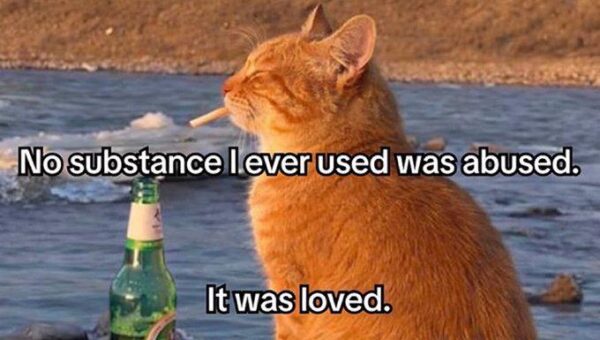 No regrets