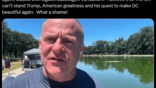 The democrats invented algae to hurt Trump