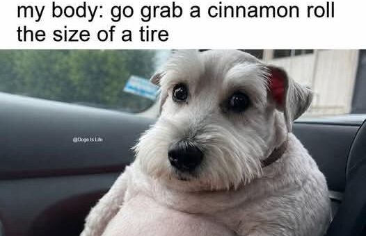 And my body also tells me to grab a soda after having cinnamon rolls