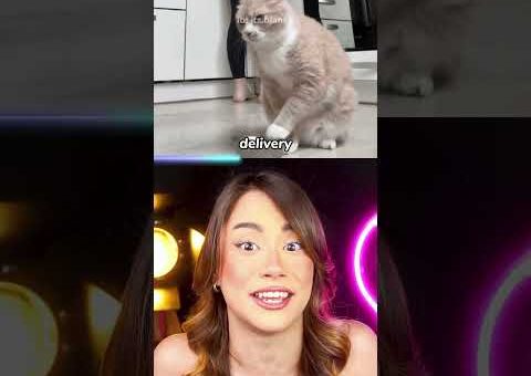 esse cara recebeu KARMA INSTANTÂNEO