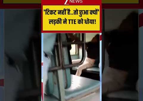 Viral Video: ‘टिकट नहीं है..तो छुआ क्यों’ लड़की ने TTE को धोया! #viralshorts #trainvideo
