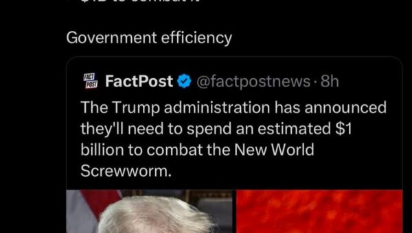 Imbecile