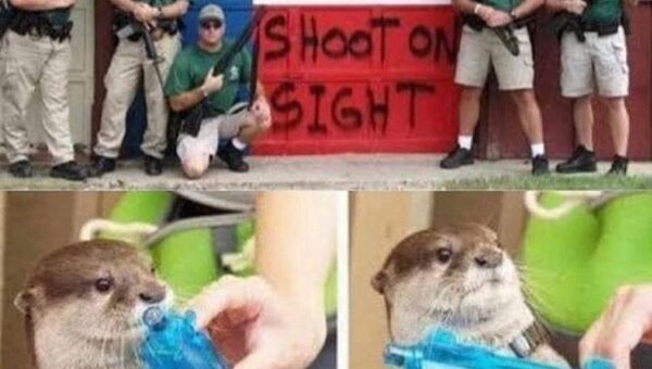 Old but classic!