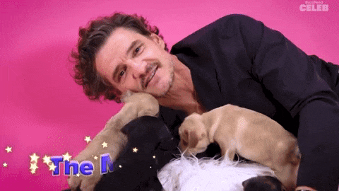 Star Wars Dog GIF by BuzzFeed