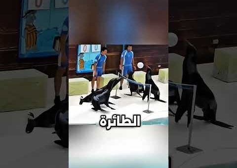 لحظات حيوانات مجنونة تم التقاطها بالكاميرا!