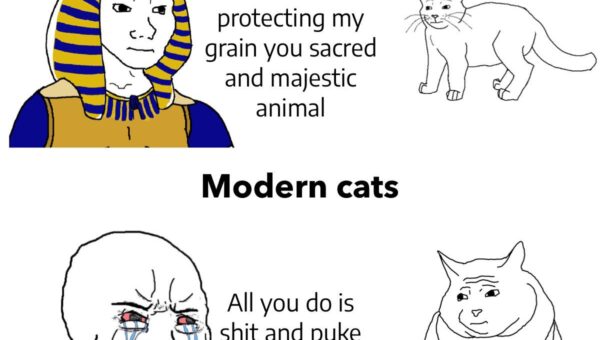 Cats are awesome