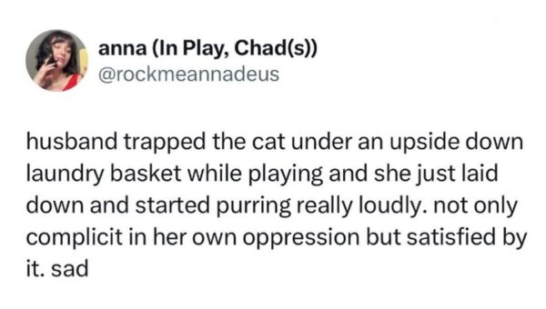 Cat dump