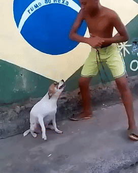 Dance Dancing