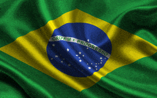 Rio De Janeiro Flag