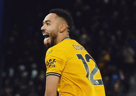 Happy Premier League GIF by Wolves