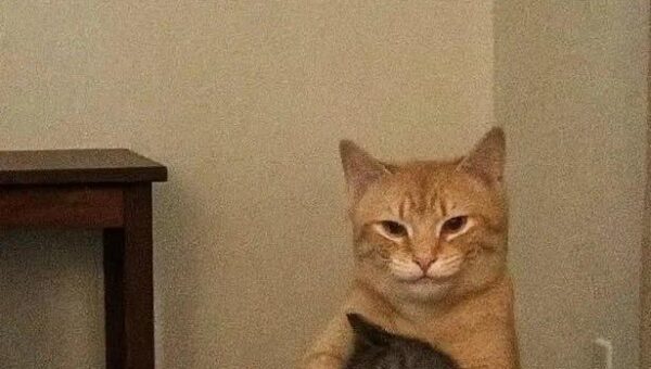 This does not concern you, just keep scrolling