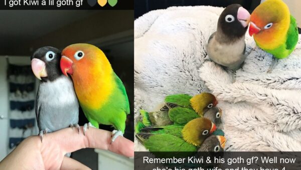 21 nice and wholesome things to brighten your day, vol 293