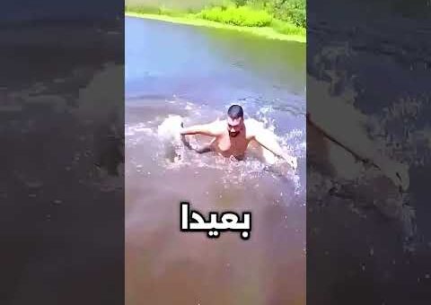 لحظات حيوانات مجنونة تم التقاطها بالكاميرا!
