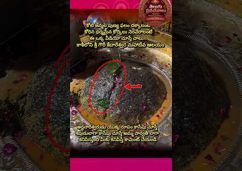 కోటి జన్మల పుణ్యం: కాశీ గౌరీ కేదారేశ్వర ఆలయ రహస్యం! #shortsfeed #viralshort #Trending Now #devotion