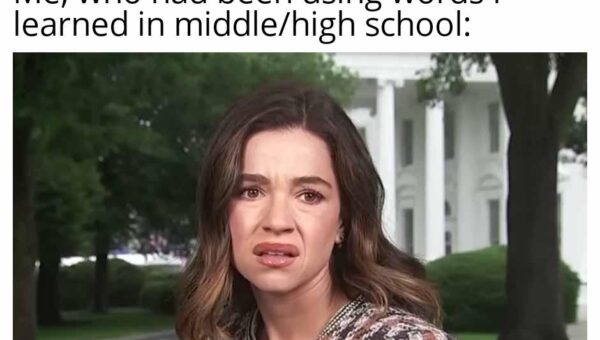 The education system at it’s finest