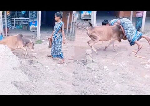 கேமராவில் பதிவான மிரள வைக்கும் நம்ப முடியாத சம்பவங்கள்/Unbelievable Moments Caught On Camera
