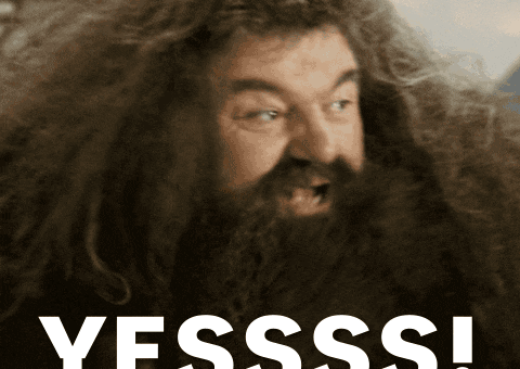 Warner Bros Yes GIF by Harry Potter